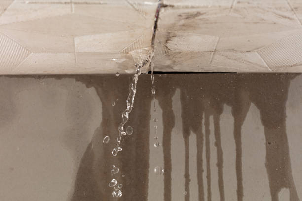 Professional Water Damage Repair technician working in Wallington, NJ
